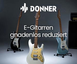 recommend donner musical instruments eguitar
